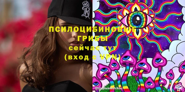 гашик Михайловка