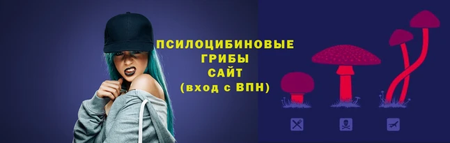 прущая мука Михайловск