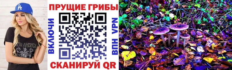 Псилоцибиновые грибы Cubensis  маркетплейс телеграм  Новоульяновск  купить  